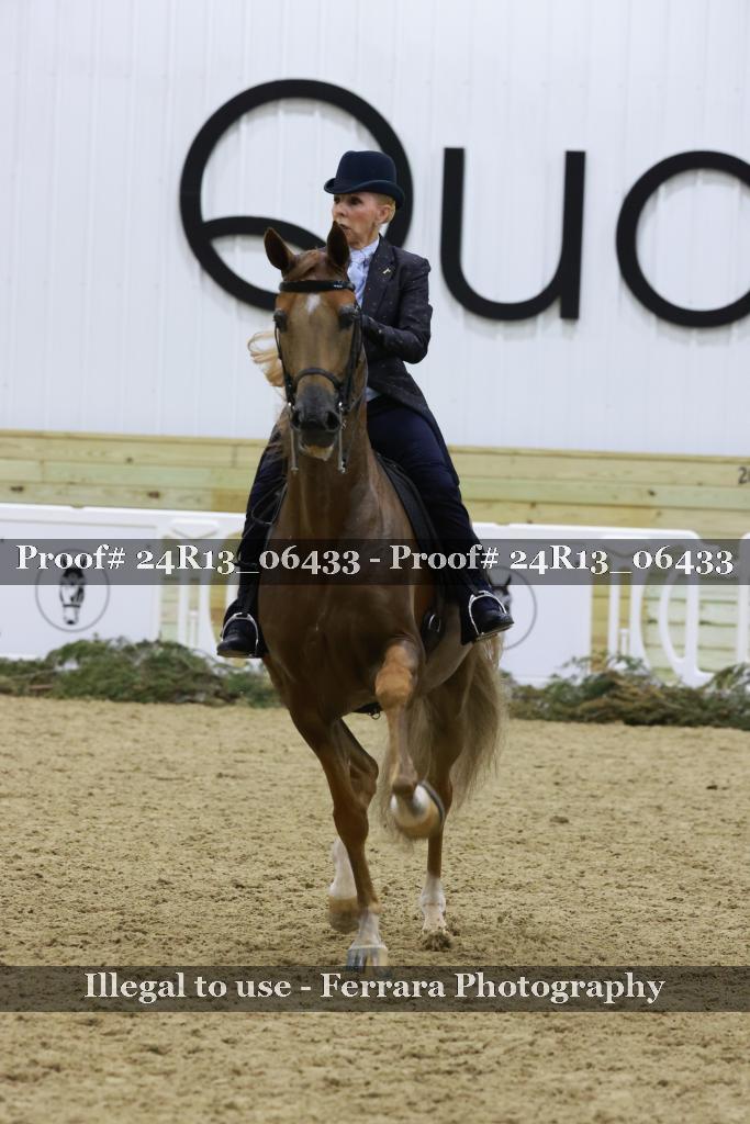 Proof 24R13_06433