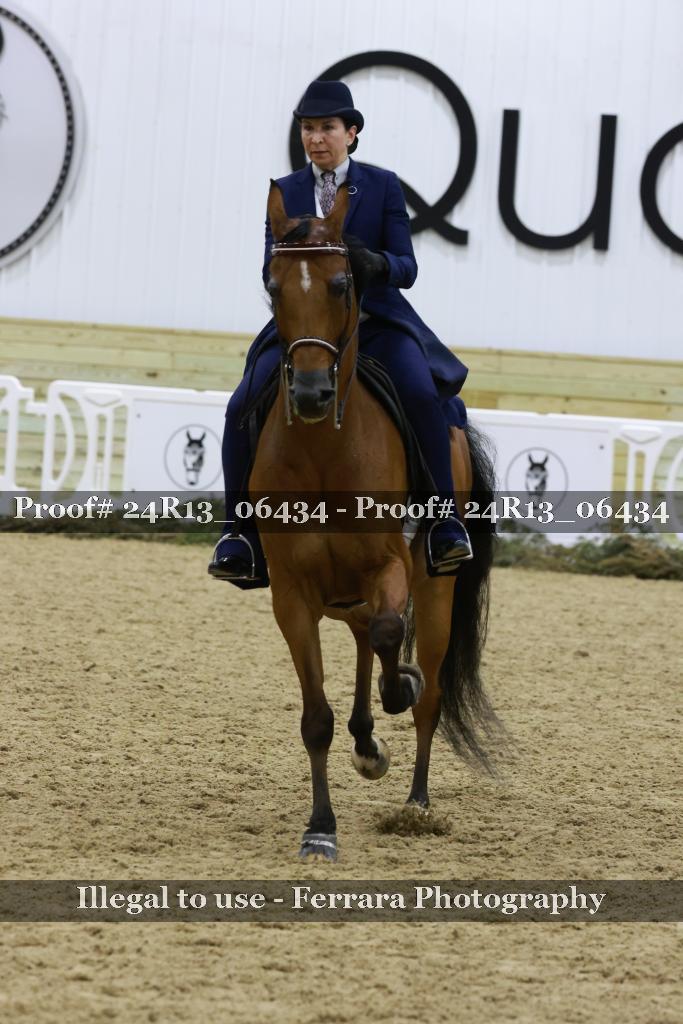Proof 24R13_06434