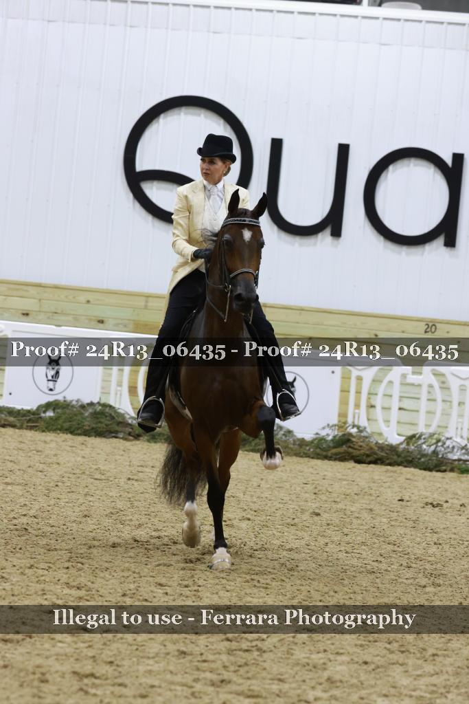 Proof 24R13_06435