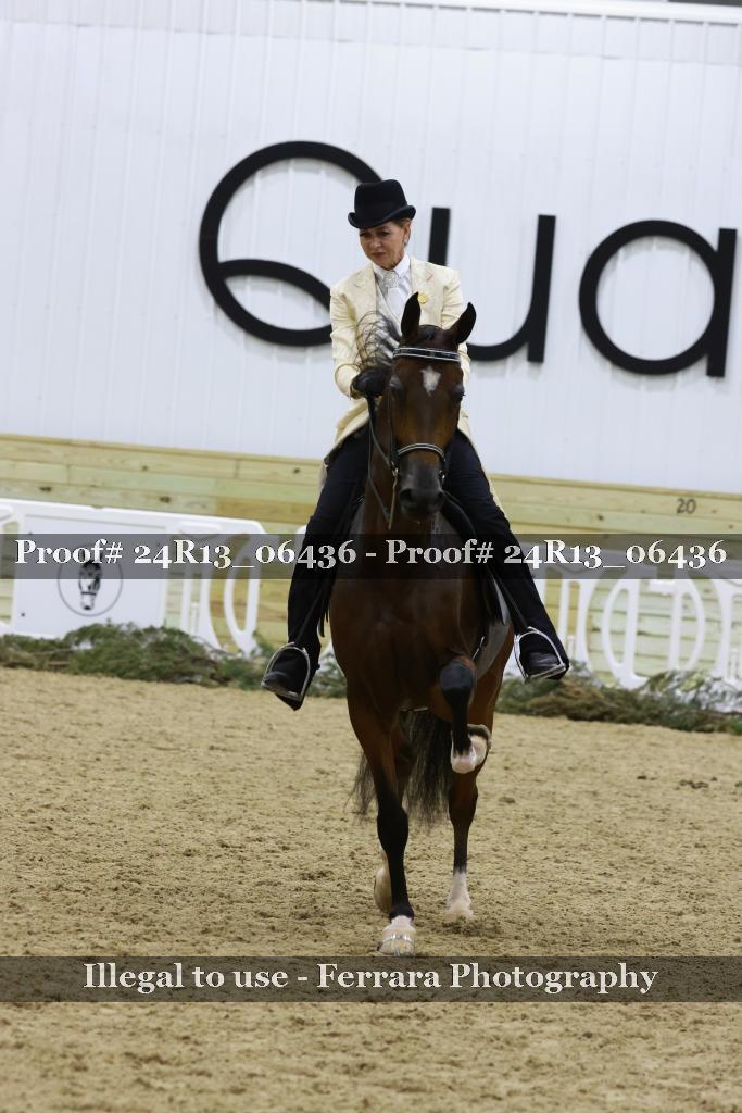 Proof 24R13_06436