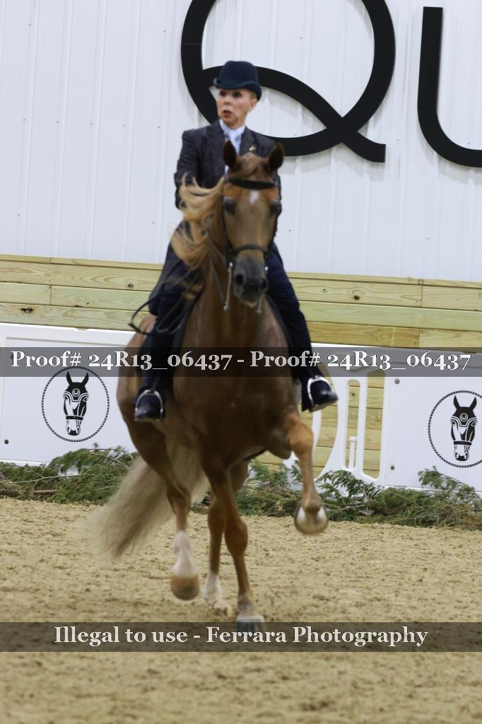 Proof 24R13_06437