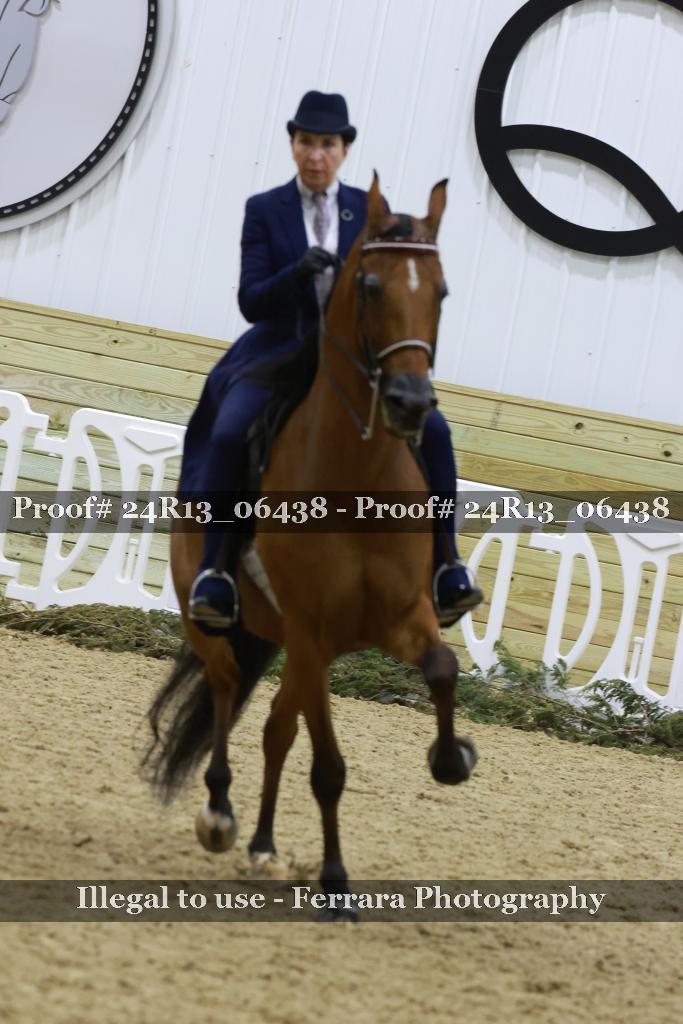 Proof 24R13_06438