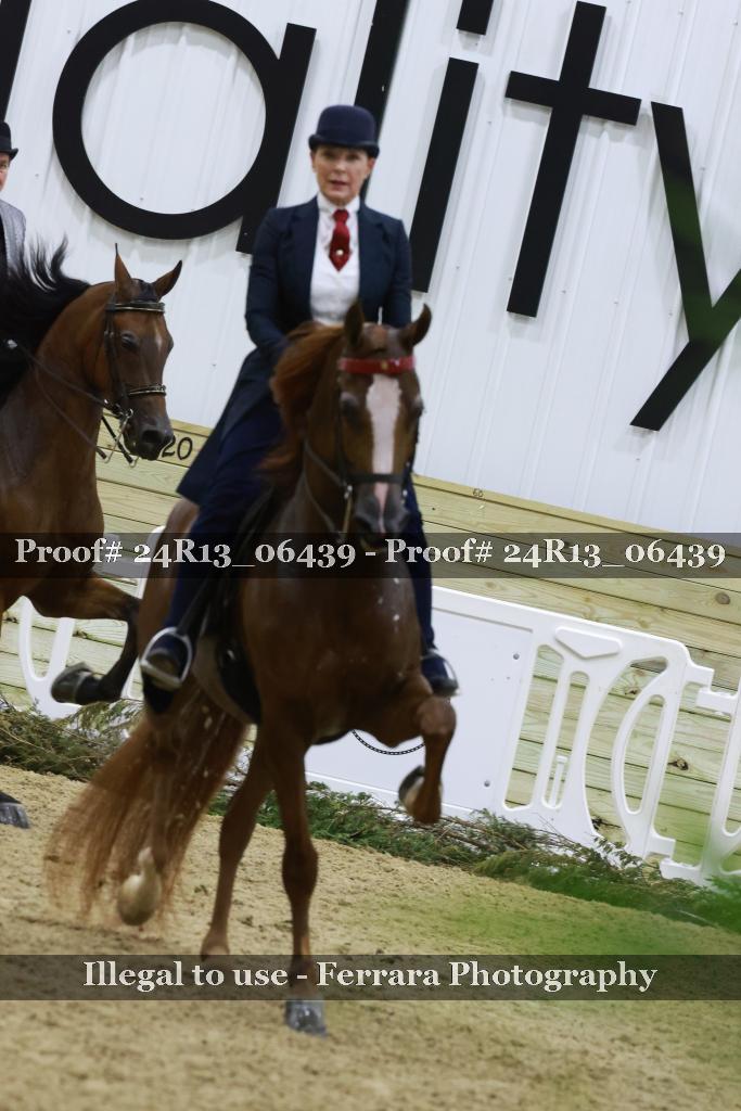Proof 24R13_06439
