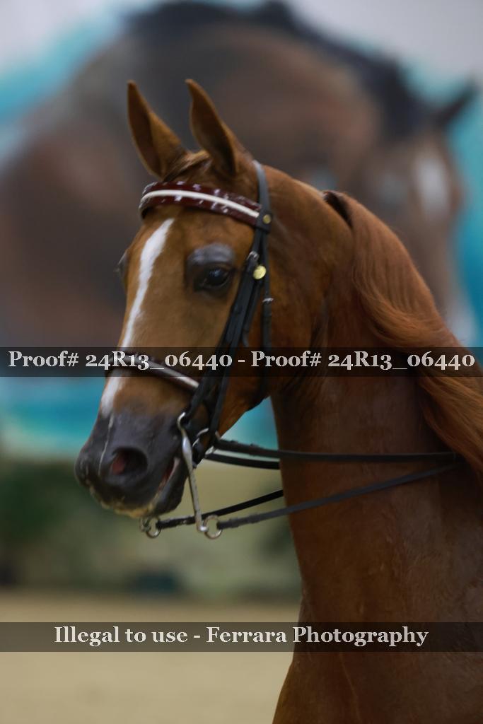 Proof 24R13_06440