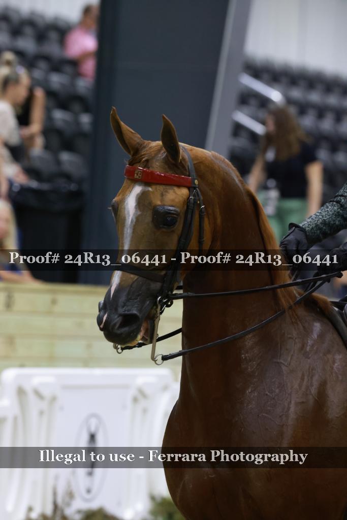 Proof 24R13_06441