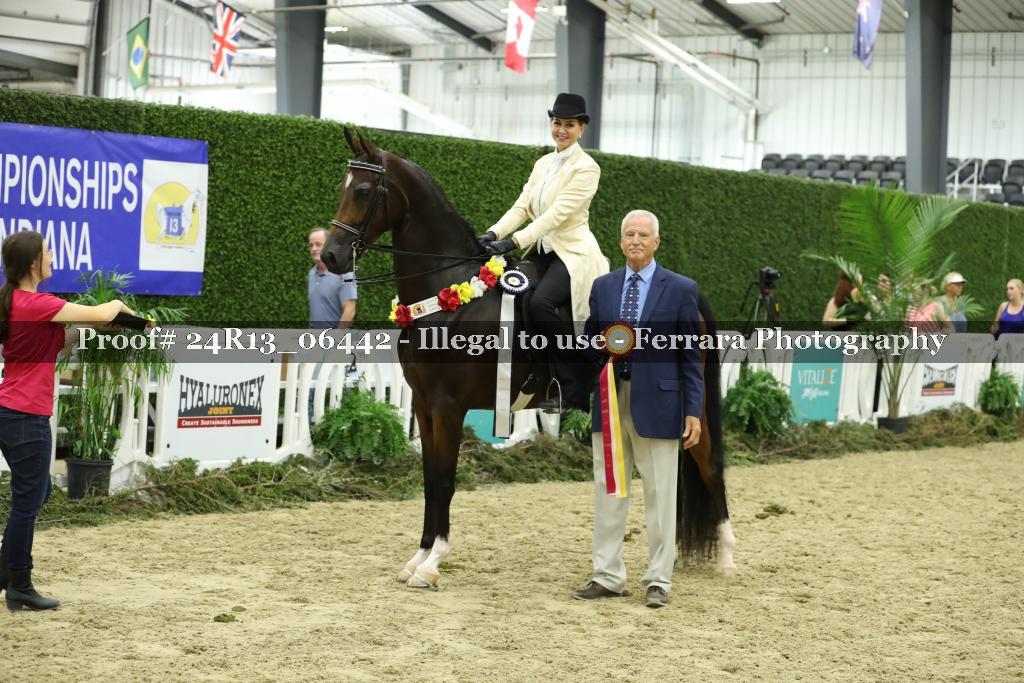 Proof 24R13_06442