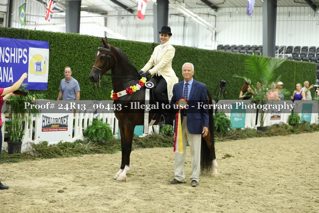 Proof 24R13_06443