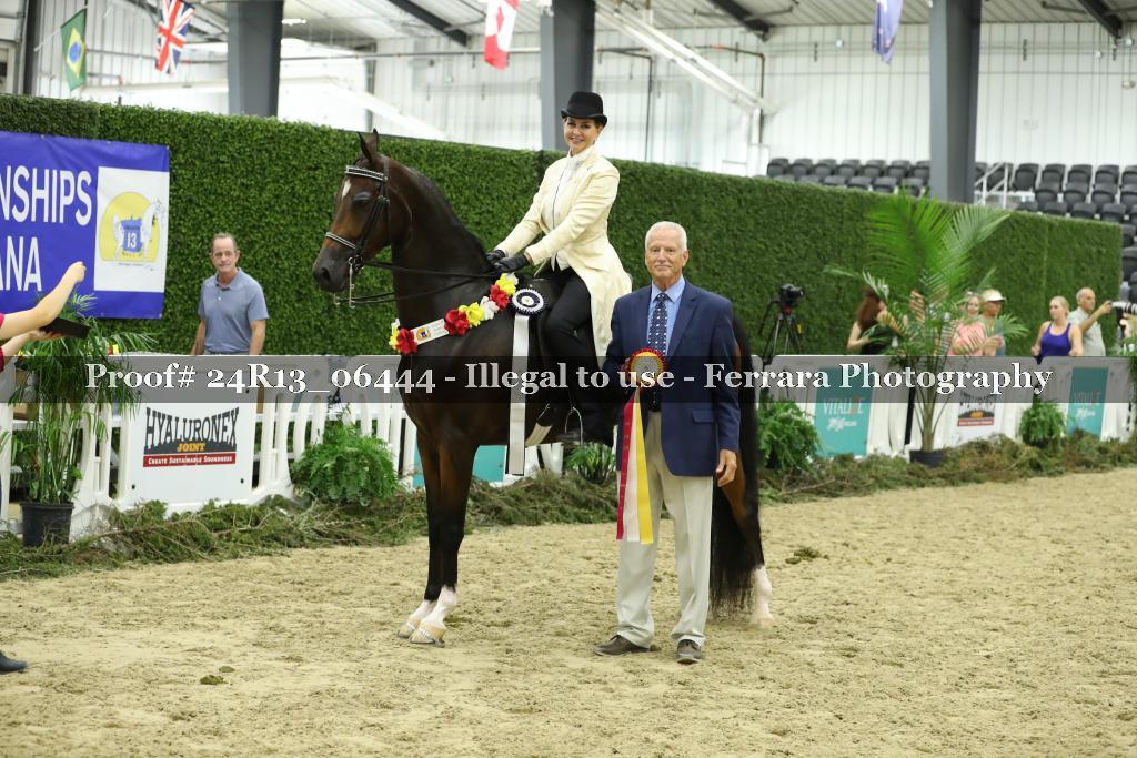 Proof 24R13_06444