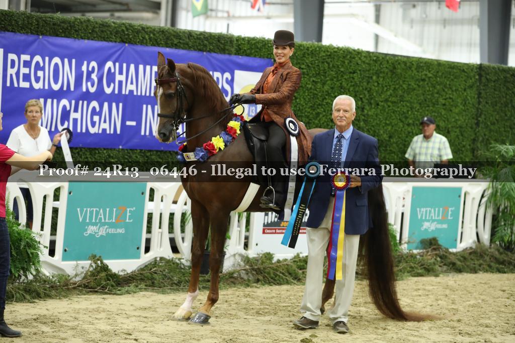 Proof 24R13_06446