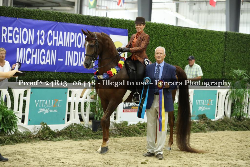 Proof 24R13_06448