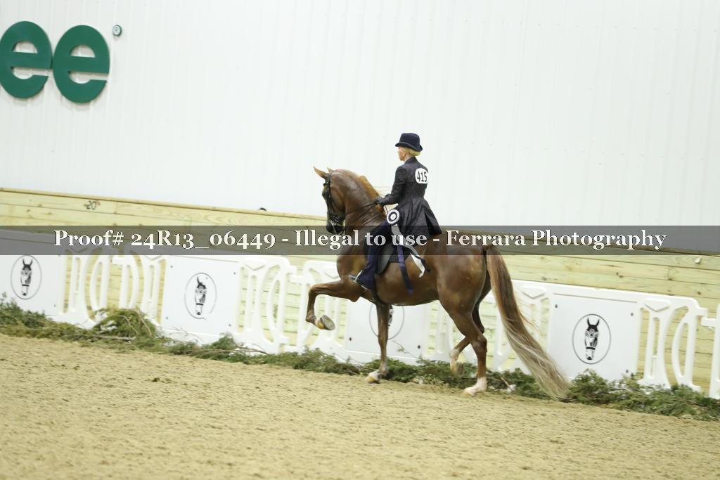 Proof 24R13_06449