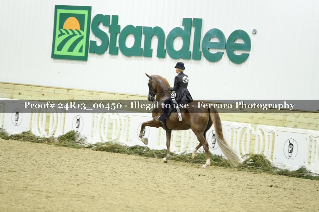 Proof 24R13_06450