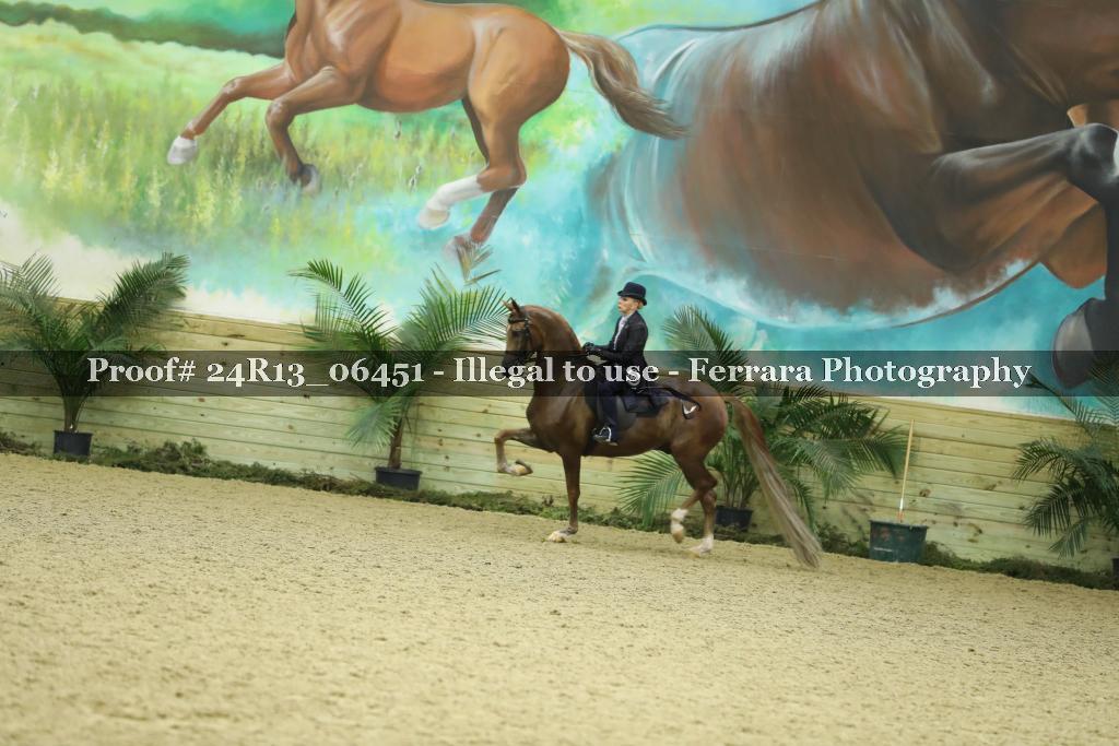 Proof 24R13_06451