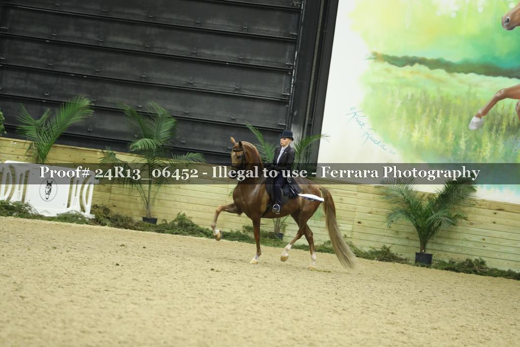 Proof 24R13_06452