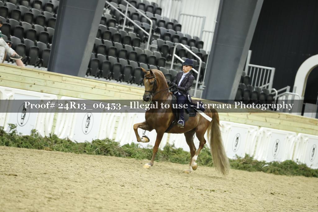 Proof 24R13_06453