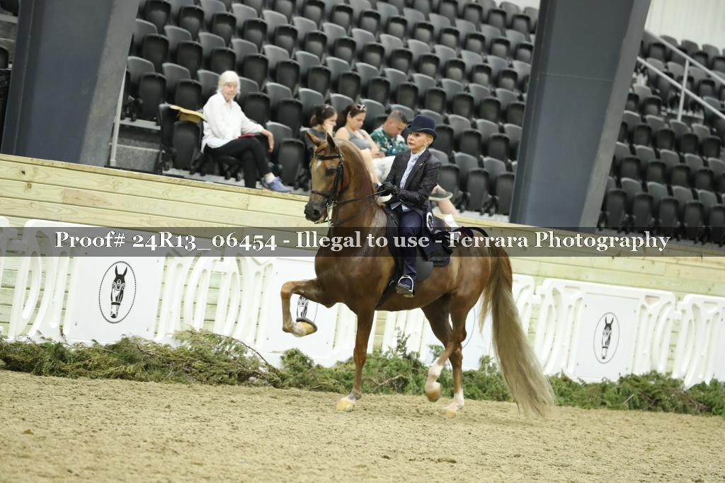 Proof 24R13_06454