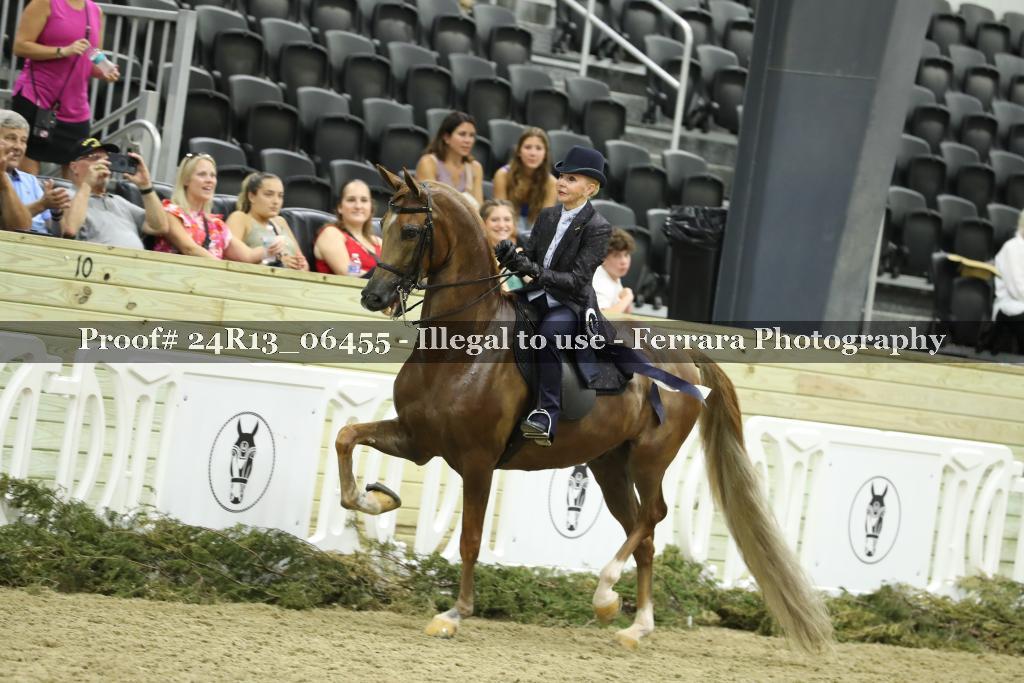 Proof 24R13_06455