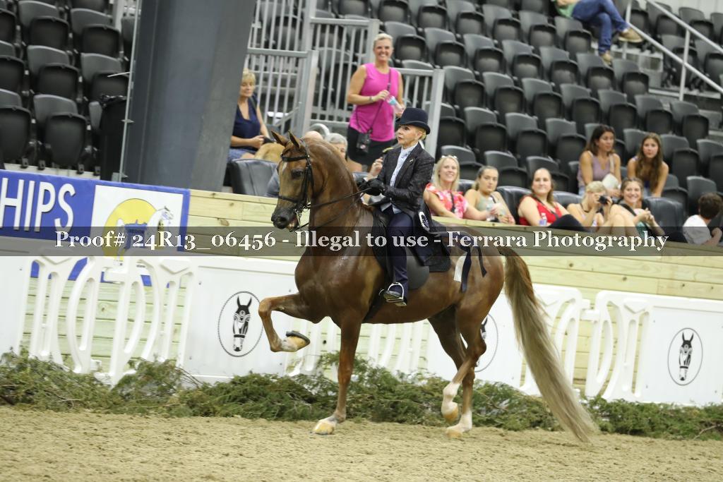 Proof 24R13_06456