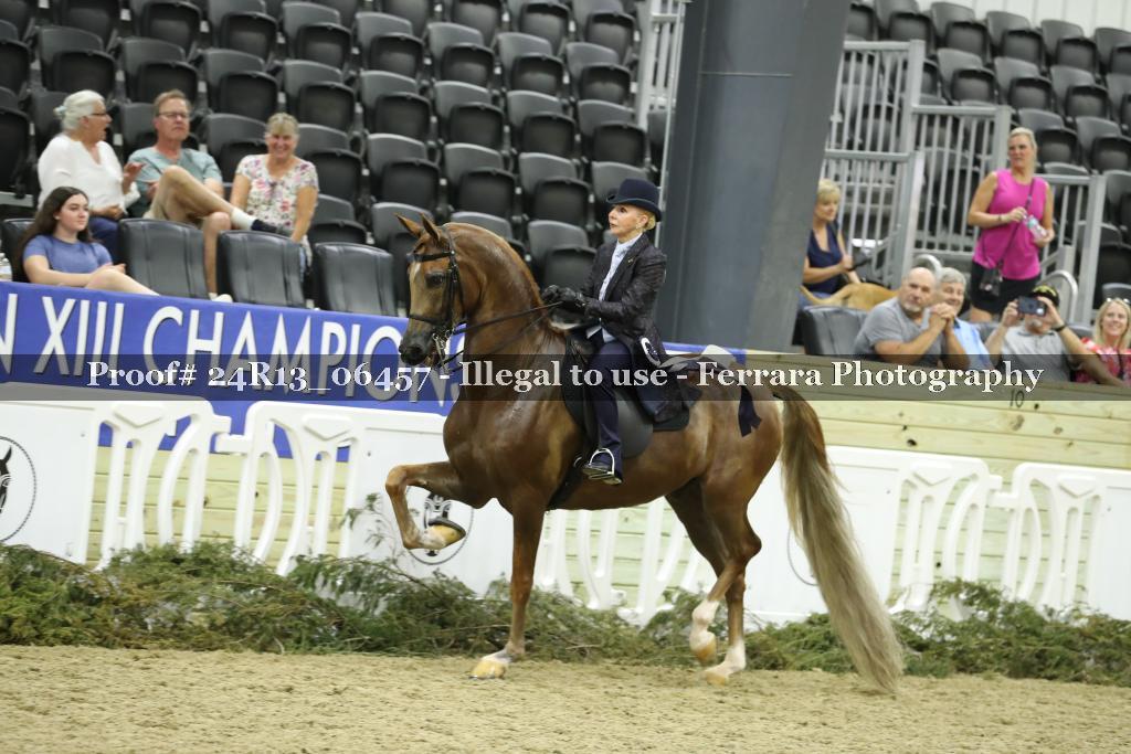 Proof 24R13_06457