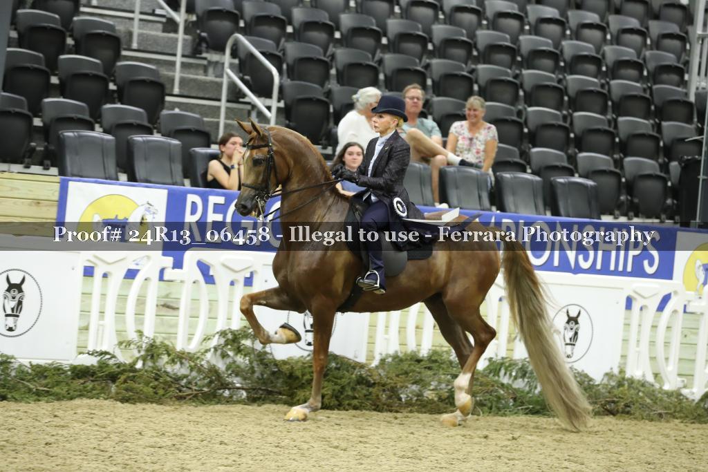Proof 24R13_06458