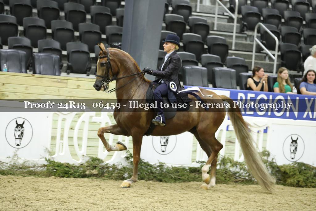 Proof 24R13_06459