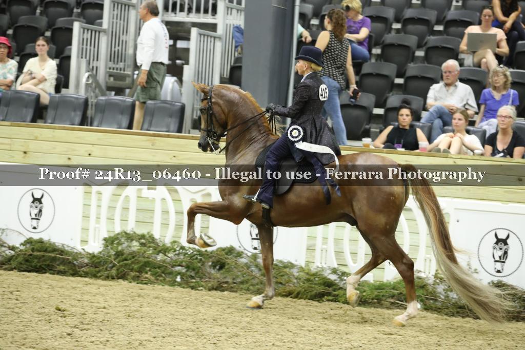 Proof 24R13_06460