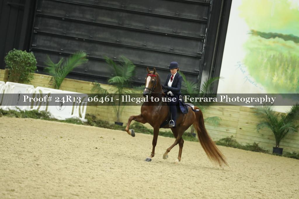 Proof 24R13_06461