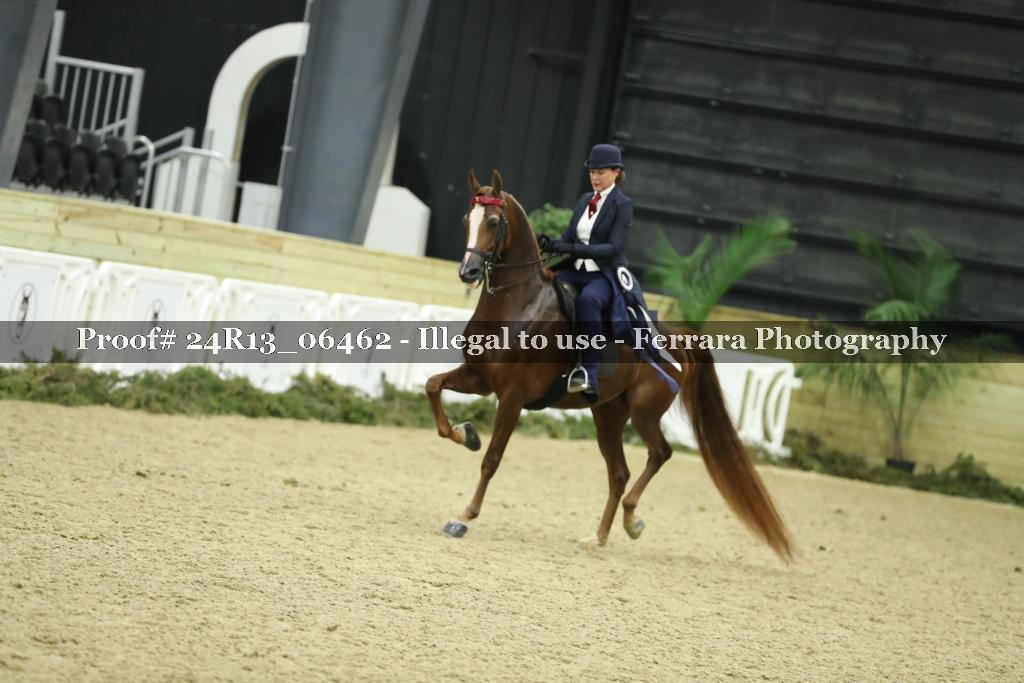 Proof 24R13_06462