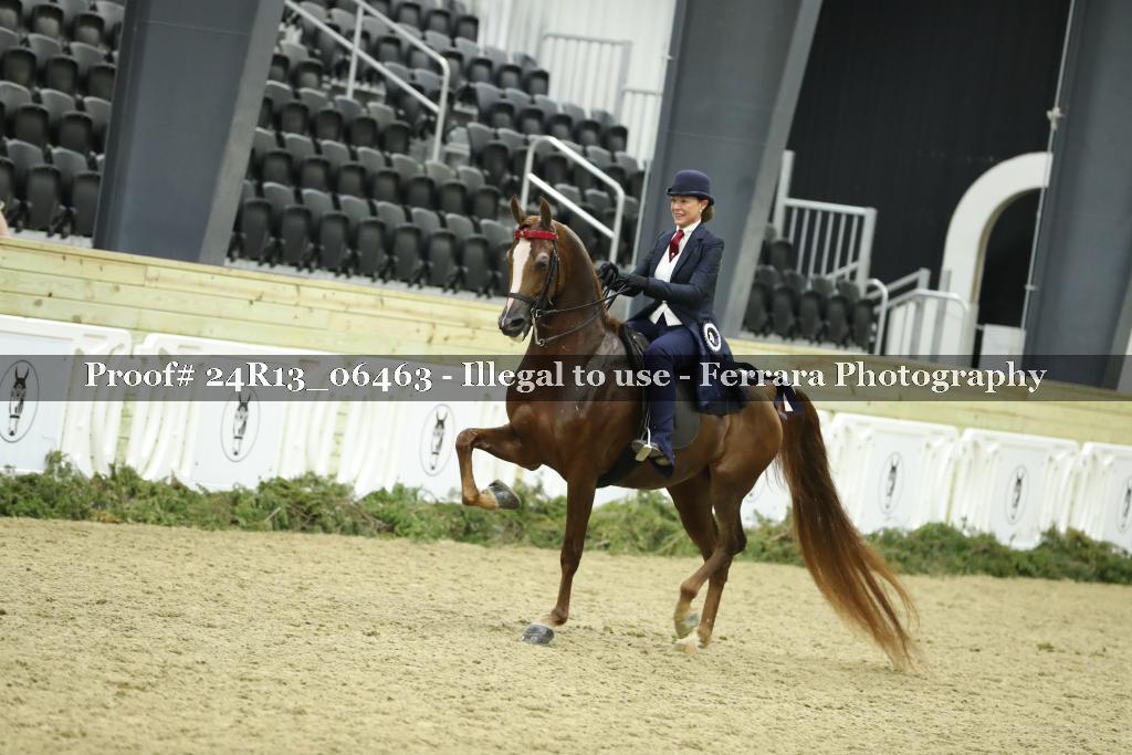 Proof 24R13_06463
