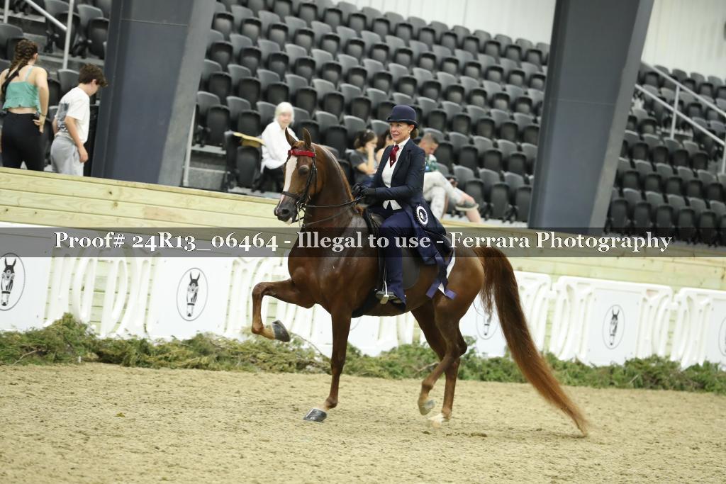 Proof 24R13_06464