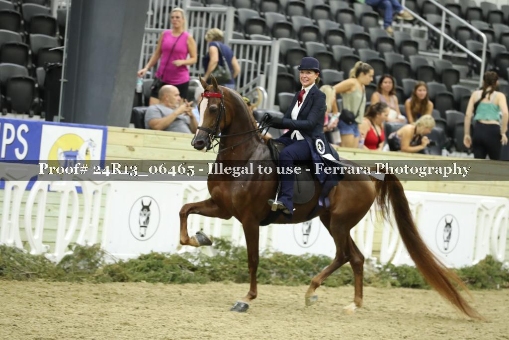 Proof 24R13_06465