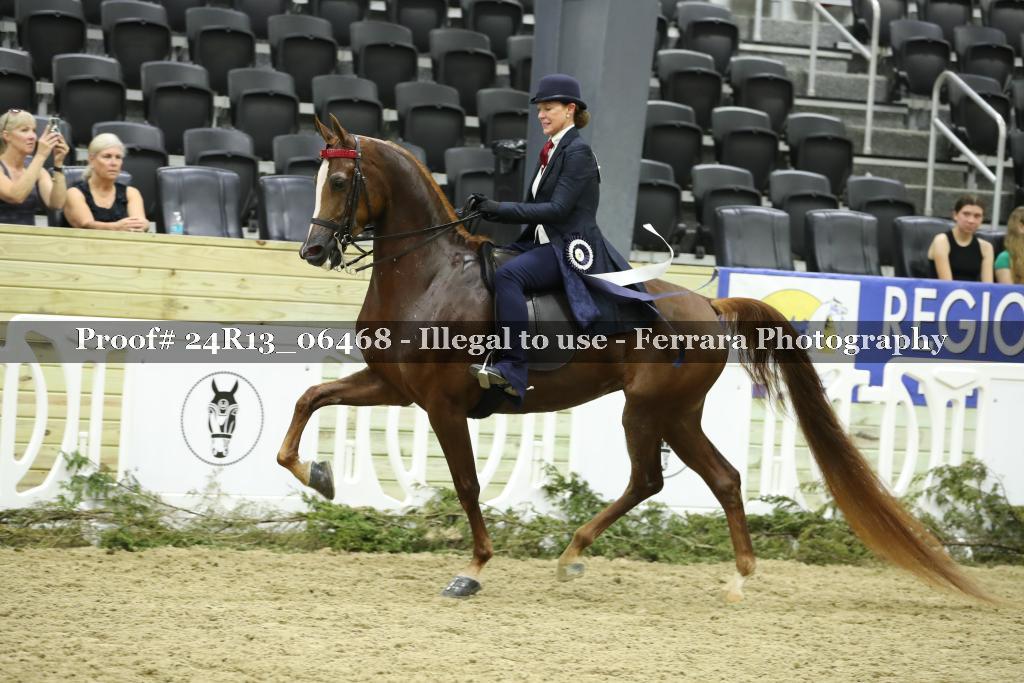 Proof 24R13_06468
