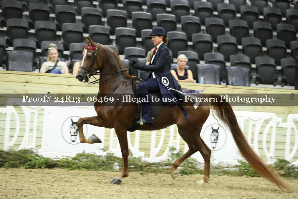 Proof 24R13_06469