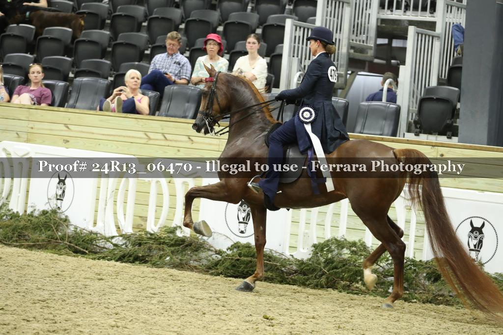 Proof 24R13_06470