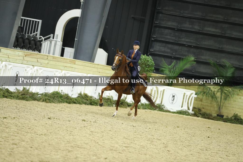 Proof 24R13_06471