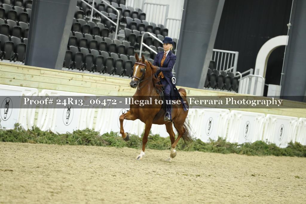 Proof 24R13_06472