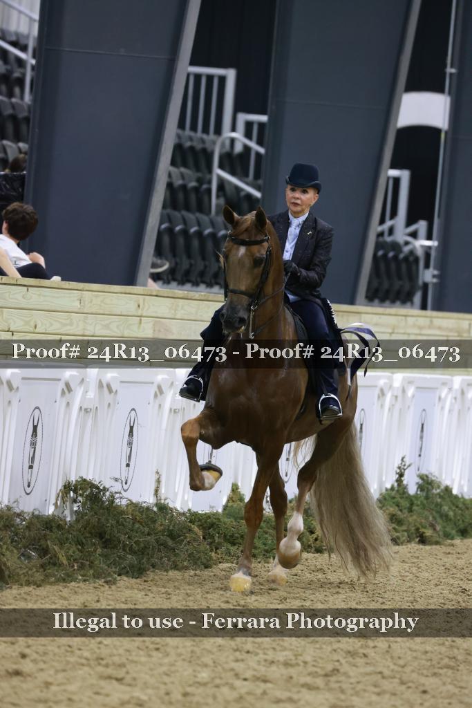 Proof 24R13_06473