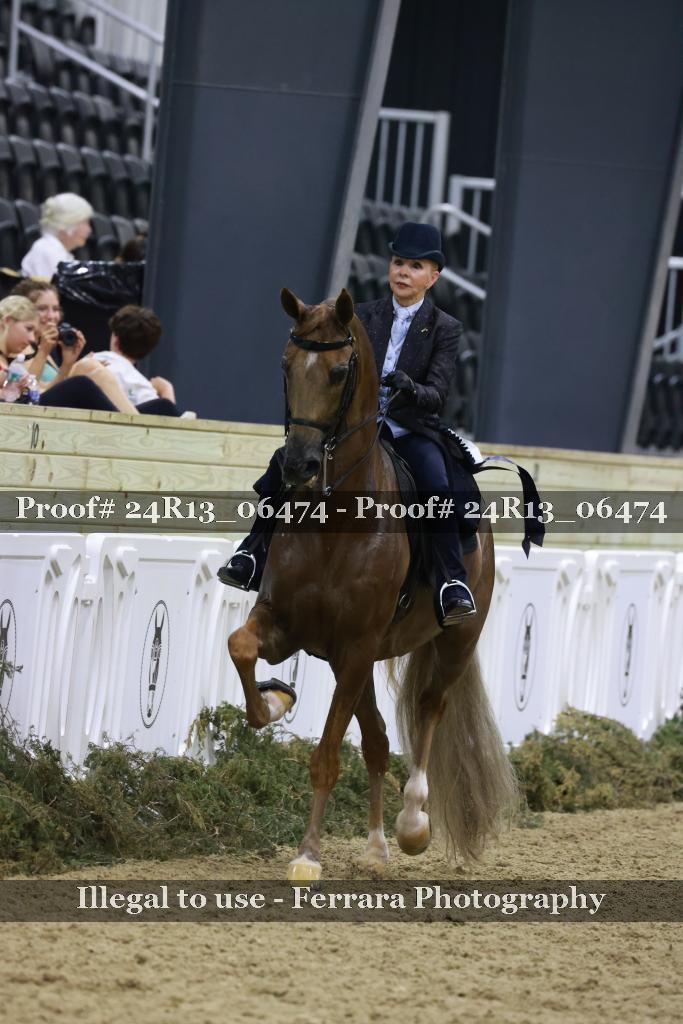 Proof 24R13_06474