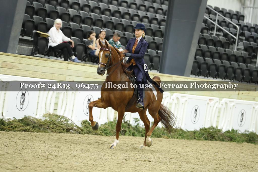 Proof 24R13_06475