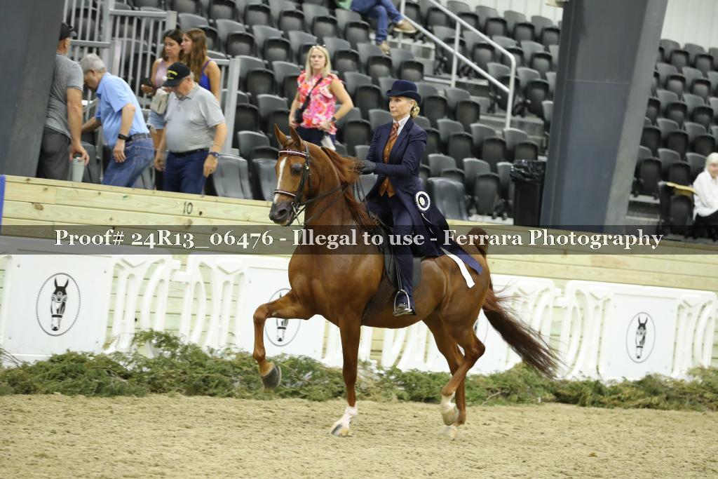 Proof 24R13_06476