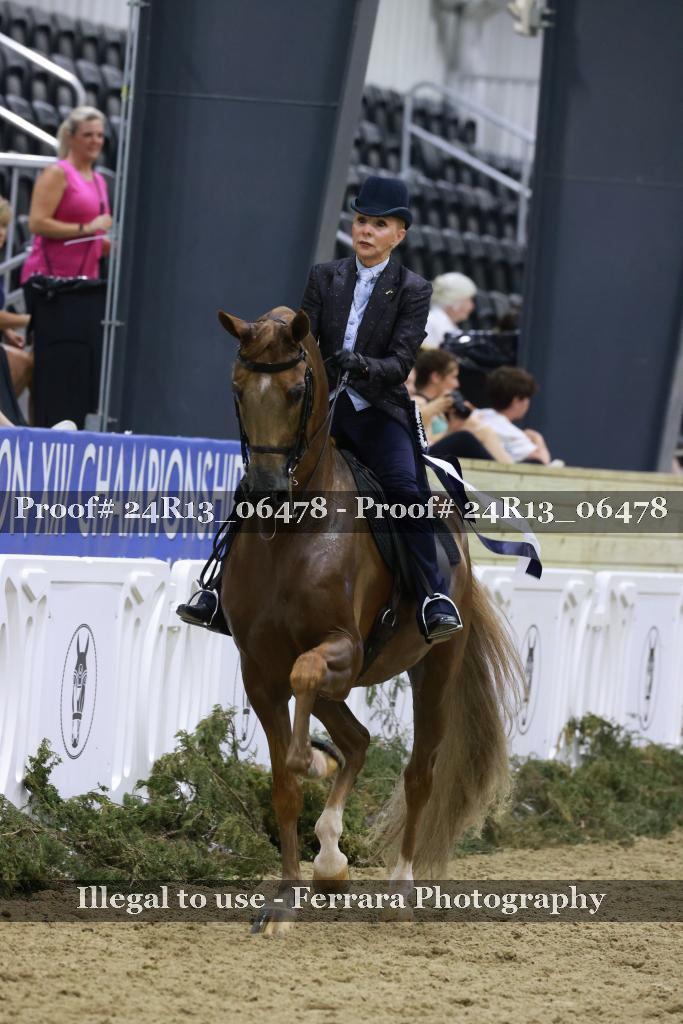Proof 24R13_06478