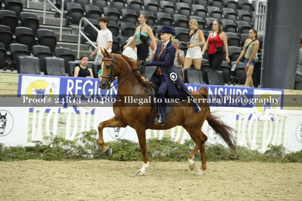Proof 24R13_06480