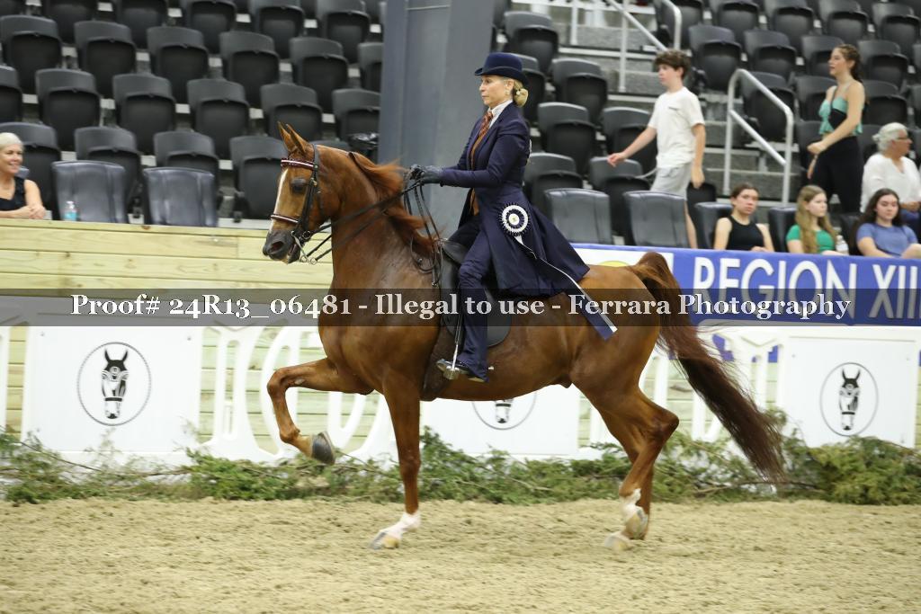 Proof 24R13_06481