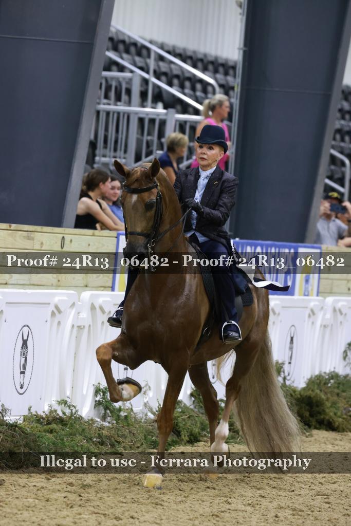Proof 24R13_06482