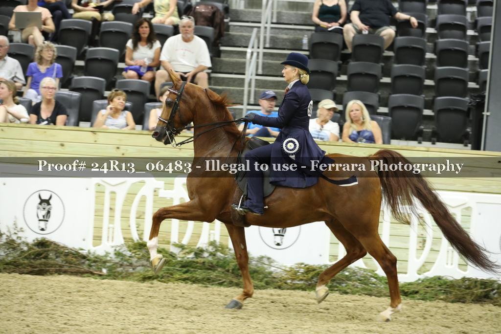 Proof 24R13_06483