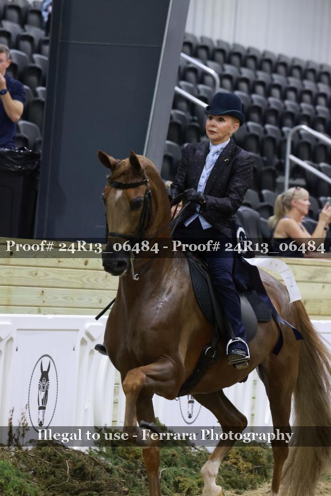 Proof 24R13_06484