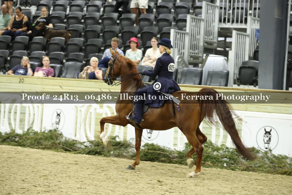 Proof 24R13_06486