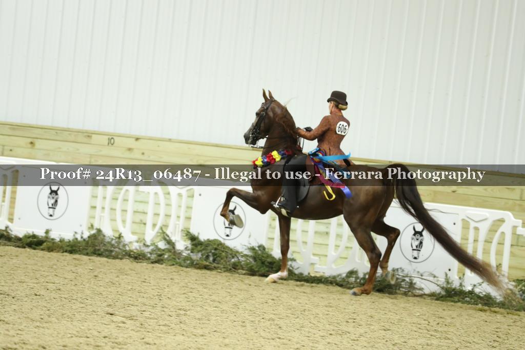 Proof 24R13_06487