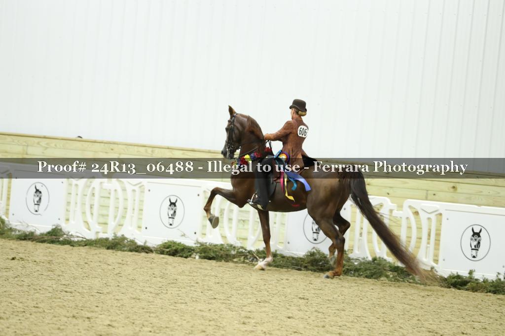 Proof 24R13_06488
