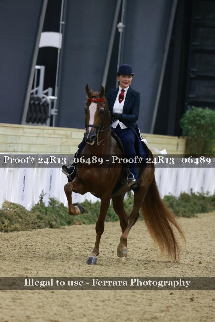 Proof 24R13_06489